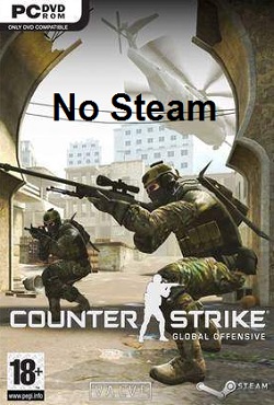 CS GO No Steam