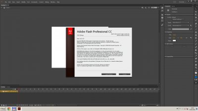 Adobe Flash Professional 