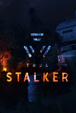 Сталкер True Stalker